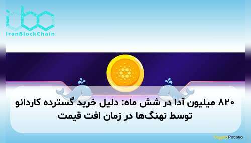 ۸۲۰ میلیون آدا در شش ماه: دلیل خرید گسترده کاردانو توسط نهنگ‌ها در زمان افت قیمت