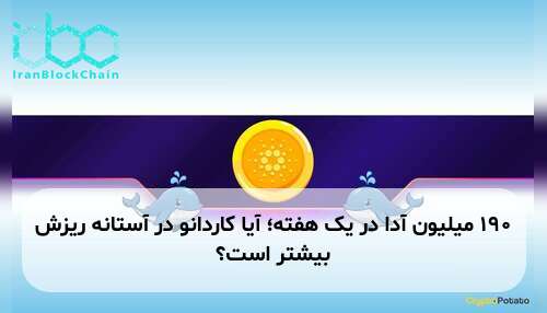 ۱۹۰ میلیون آدا در یک هفته؛ آیا کاردانو در آستانه ریزش بیشتر است؟