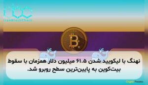 نهنگ با لیکویید شدن ۶۱.۵ میلیون دلار همزمان با سقوط بیتکوین به پایینترین سطح روبرو شد.