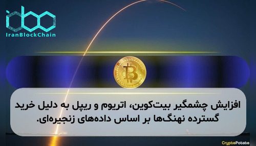 افزایش چشمگیر بیت‌کوین، اتریوم و ریپل به دلیل خرید گسترده نهنگ‌ها بر اساس داده‌های زنجیره‌ای.