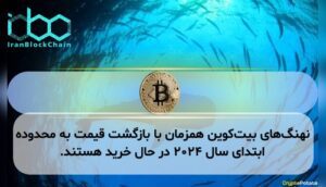 نهنگهای بیتکوین همزمان با بازگشت قیمت به محدوده ابتدای سال ۲۰۲۴ در حال خرید هستند.