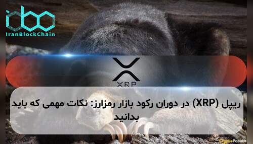 ریپل (XRP) در دوران رکود بازار رمزارز: نکات مهمی که باید بدانید
