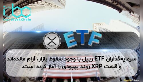 سرمایه‌گذاران ETF ریپل با وجود سقوط بازار، آرام مانده‌اند و قیمت XRP روند بهبودی را آغاز کرده است.