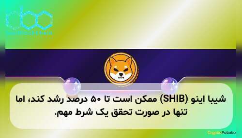 شیبا اینو (SHIB) ممکن است تا ۵۰ درصد رشد کند، اما تنها در صورت تحقق یک شرط مهم.