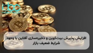 افزایش پذیرش بیت‌کوین و ذخیره‌سازی آفلاین با وجود شرایط ضعیف بازار