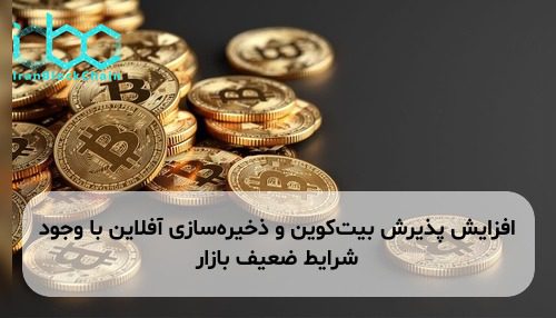 افزایش پذیرش بیت‌کوین و ذخیره‌سازی آفلاین با وجود شرایط ضعیف بازار