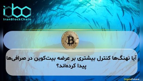 آیا نهنگ‌ها کنترل بیشتری بر عرضه بیت‌کوین در صرافی‌ها پیدا کرده‌اند؟