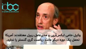 وکیل حامی ایکس‌آرپی و مدیرعامل ریپل معتقدند آمریکا تحمل یک دوره دیگر مانند ریاست گری گنسلر را ندارد.