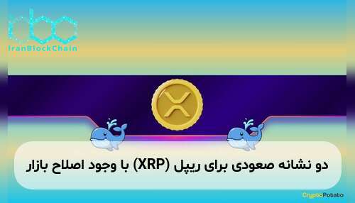 دو نشانه صعودی برای ریپل (XRP) با وجود اصلاح بازار