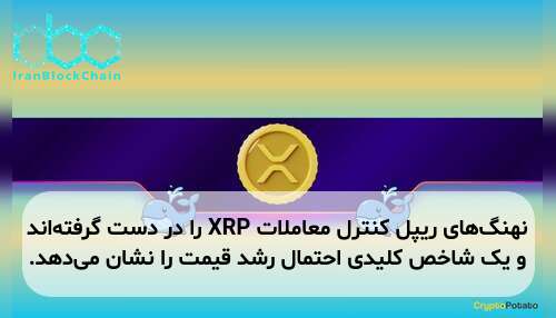 نهنگ‌های ریپل کنترل معاملات XRP را در دست گرفته‌اند و یک شاخص کلیدی احتمال رشد قیمت را نشان می‌دهد.