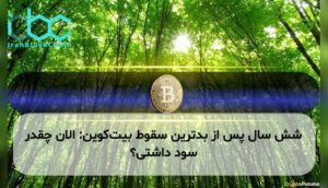 شش سال پس از بدترین سقوط بیتکوین: الان چقدر سود داشتی؟