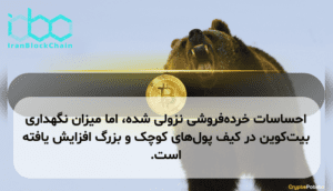 احساسات خردهفروشی نزولی شده، اما میزان نگهداری بیتکوین در کیف پولهای کوچک و بزرگ افزایش یافته است.