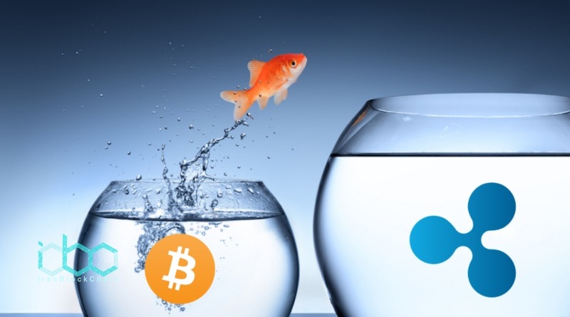 تفاوت ریپل و بیتکوین