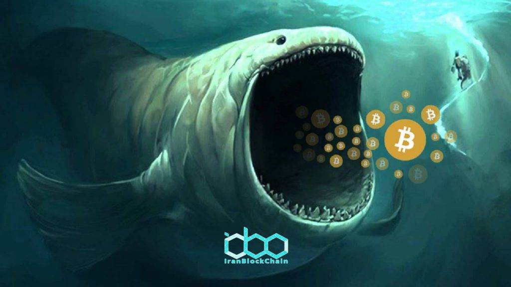 افزایش شدت خرید بیتکوین توسط نهنگ ها از کریسمس