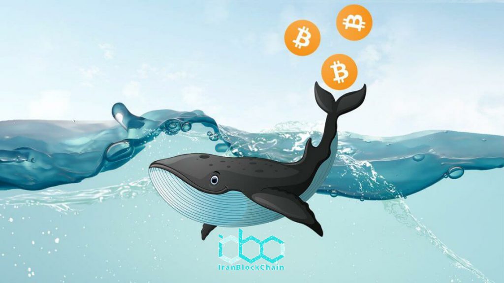 موسسات و ماینرهایی که از طریق بیتکوین چاپ (Bitcoin Chop) جمع می شوند ؛ نهنگ های مشکوک