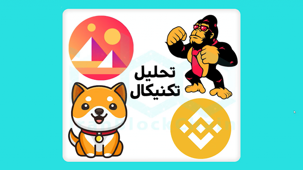 تحلیل رمزارزهای BNB ، MANA ، FEG ، BABY DOGE یکشنبه 1 اسفند ماه 1400