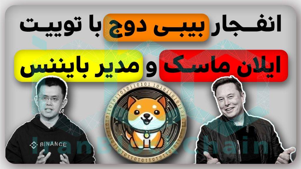 انفجار بیبیدوج بعد از حمایت ایلان ماسک