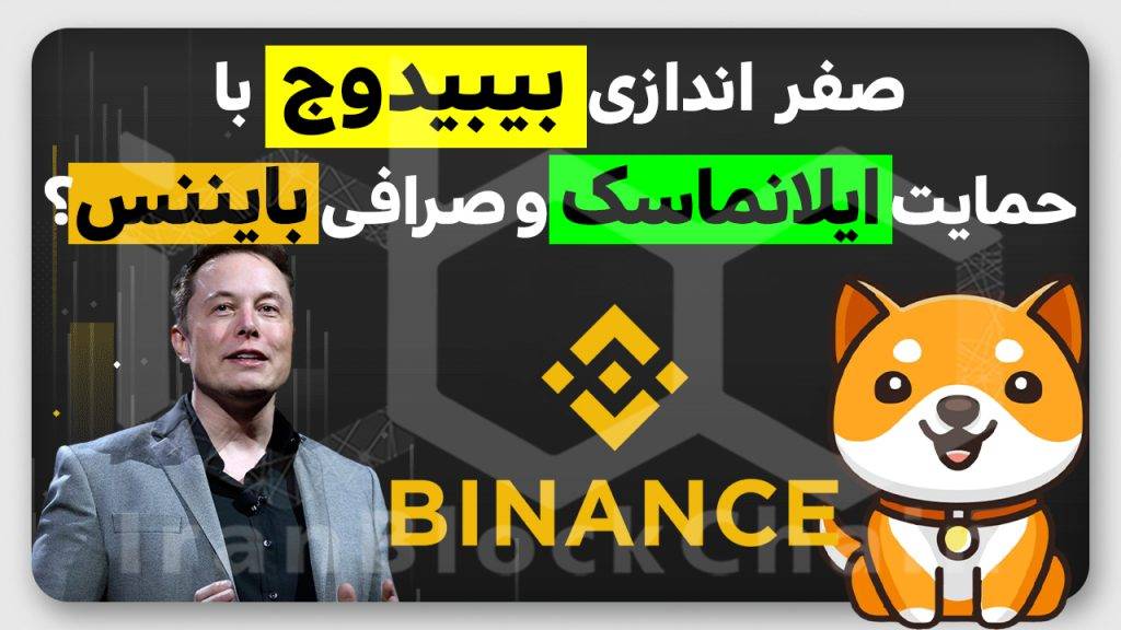 آیا قیمت بیبیدوج میتونه ۱۰ برابر بشه؟