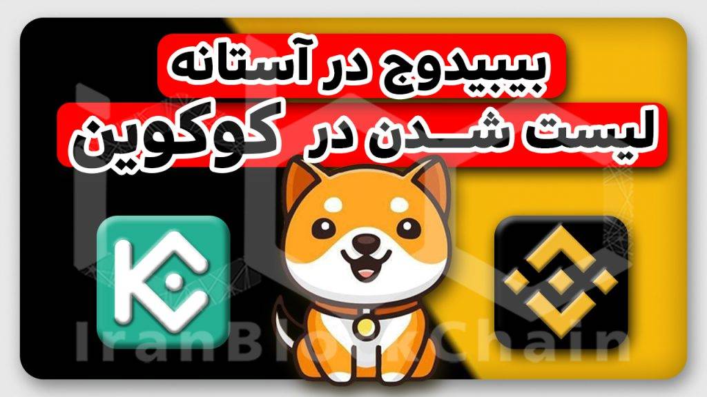 بیبیدوج در بایننس یا کوکوین؟