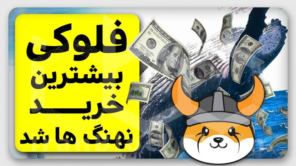رکورد شکنی های فلوکی و استقبال گسترده نهنگ ها از آن