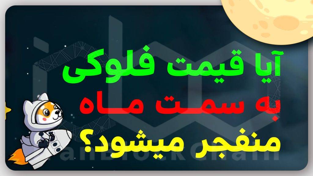 باید بدونی چرا فلوکی بهترین میمکون هست!