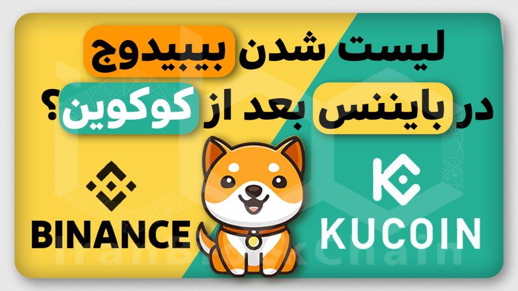 تحلیل آینده درخشان بیبیدوج کوین