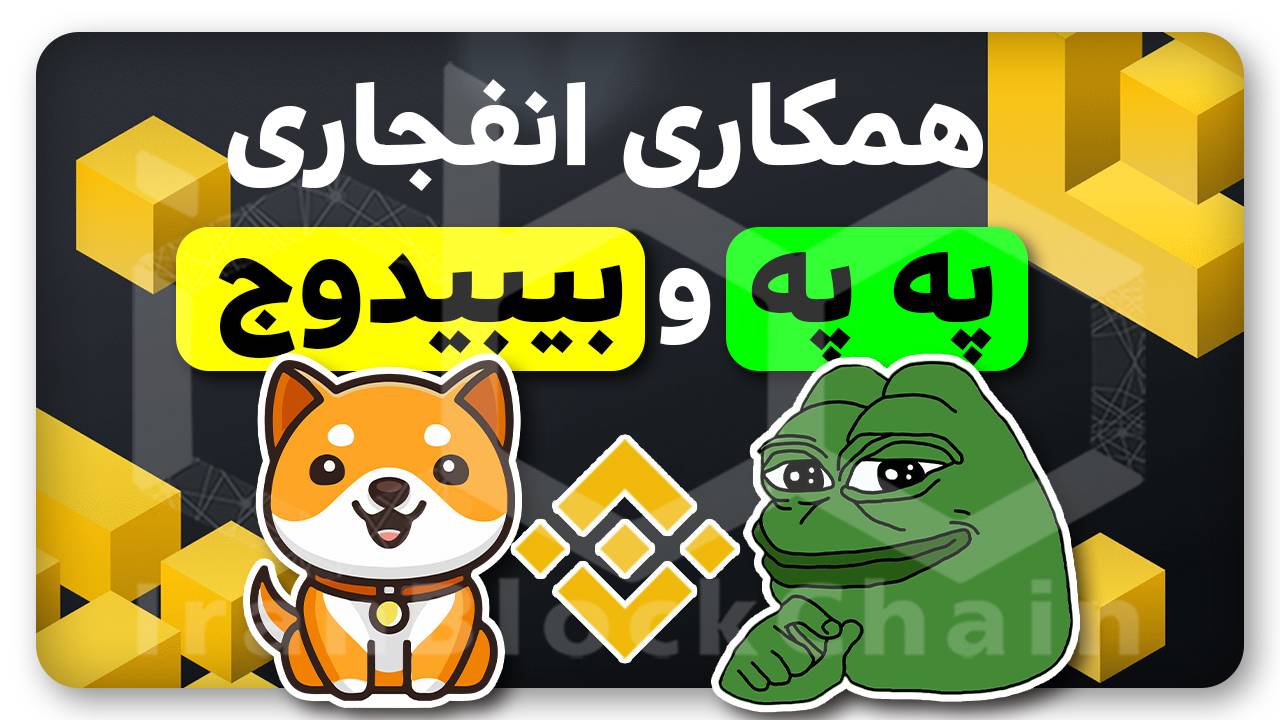 بیبیدوج و په په در بایننس؟