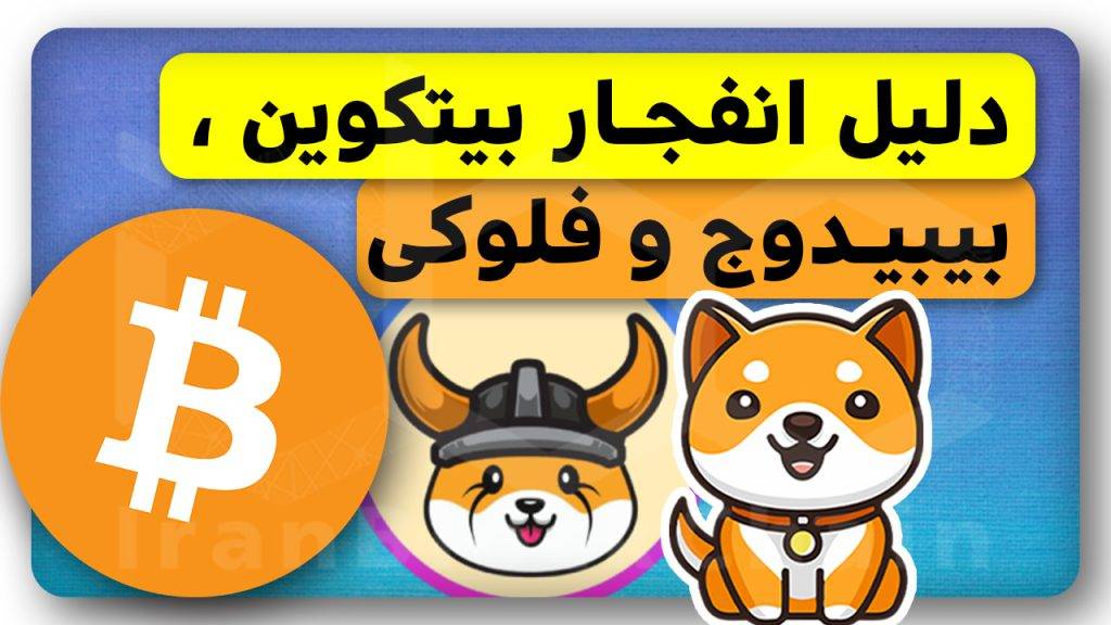 تحلیل امروز قیمت بیتکوین / بیبیدوج / فلوکی