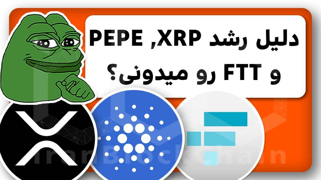 حواشی په په و ریپل تا کاردانو و اف تی ایکس