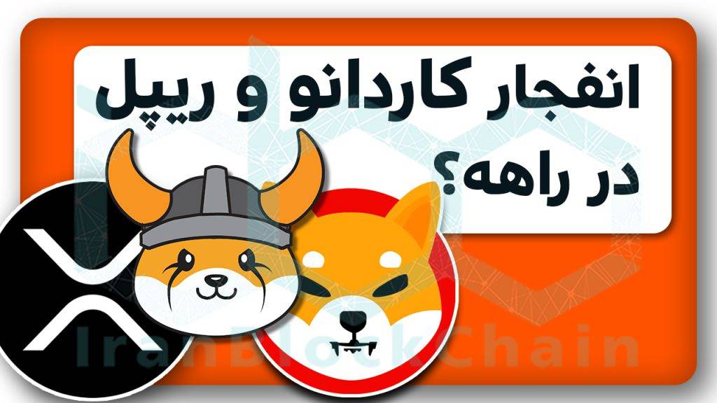 کاردانو و ریپل بخریم؟
