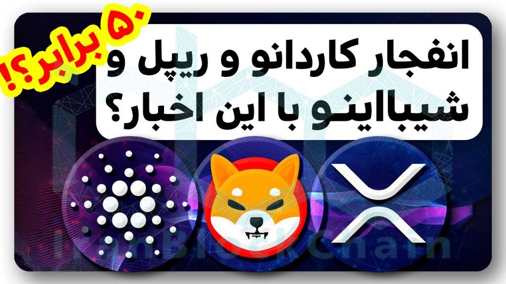 کاردانو، ریپل یا شیبااینو بخرم؟