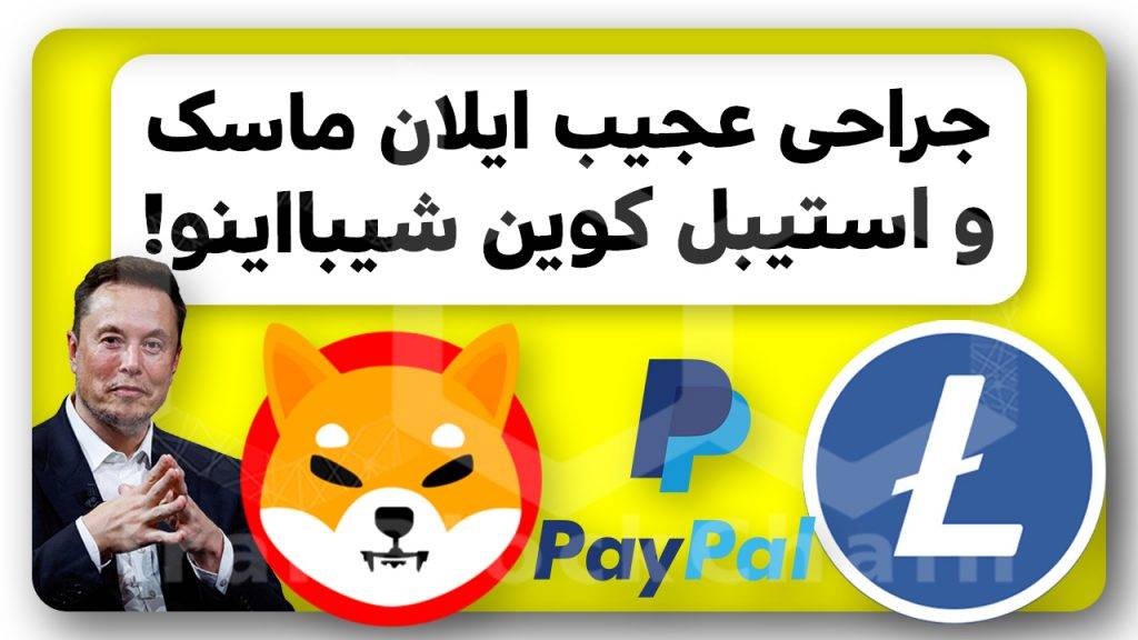 بالاخره شیباریوم اومد، استیبل کوین شیبااینو بهتره یا پی پال؟