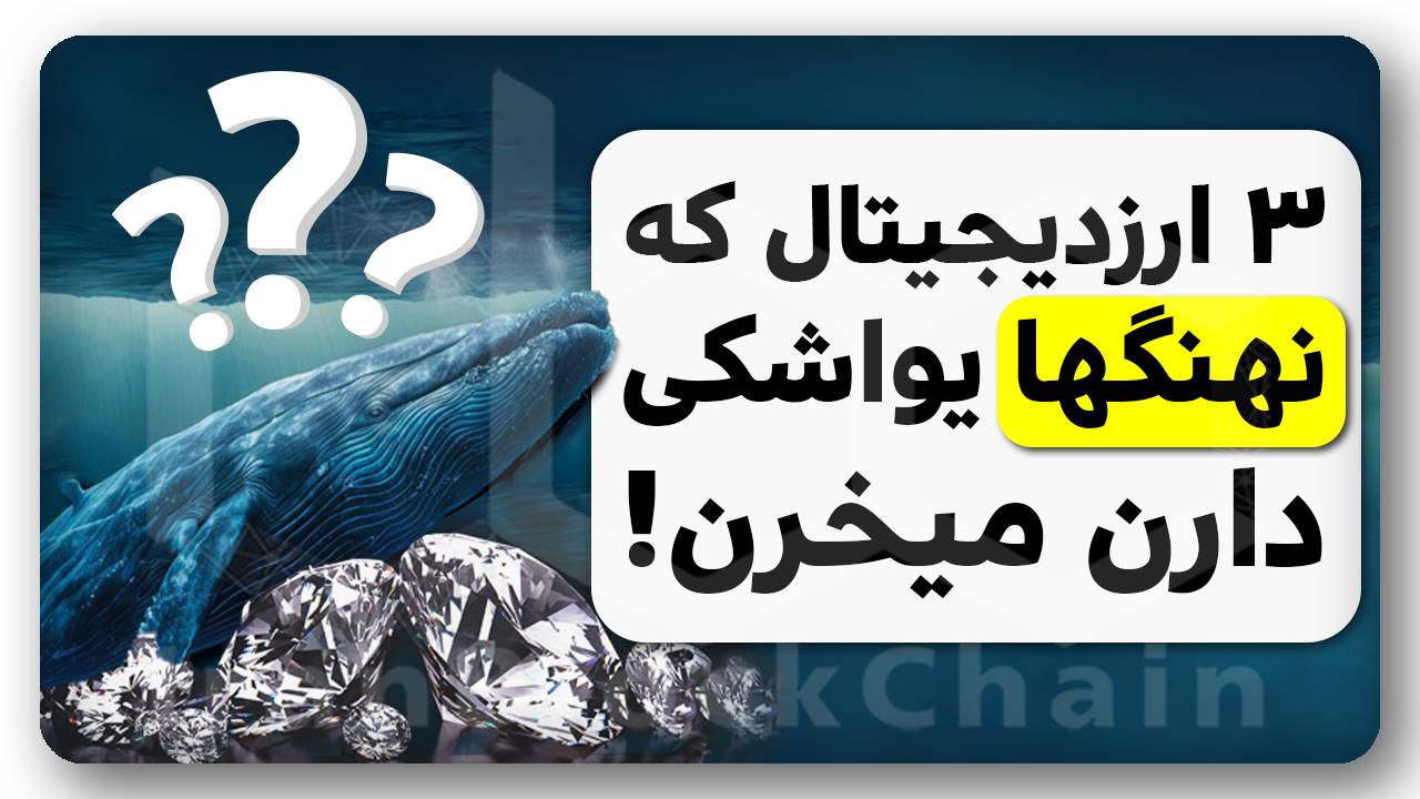 ۳ ارز با خرید گسترده نهنگها رو میشناسی؟