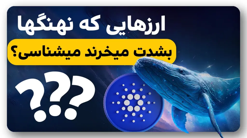 4 ارز که نهنگها بشدت و مخفیانه میخرند!