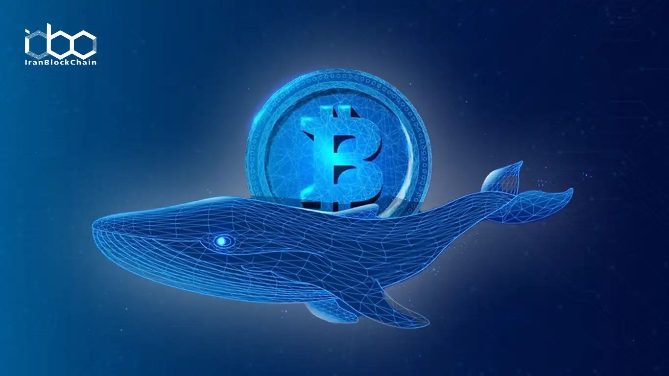آیا بیتکوین با حمایت نهنگها به ۱۰۰/۰۰۰ دلار میرسد