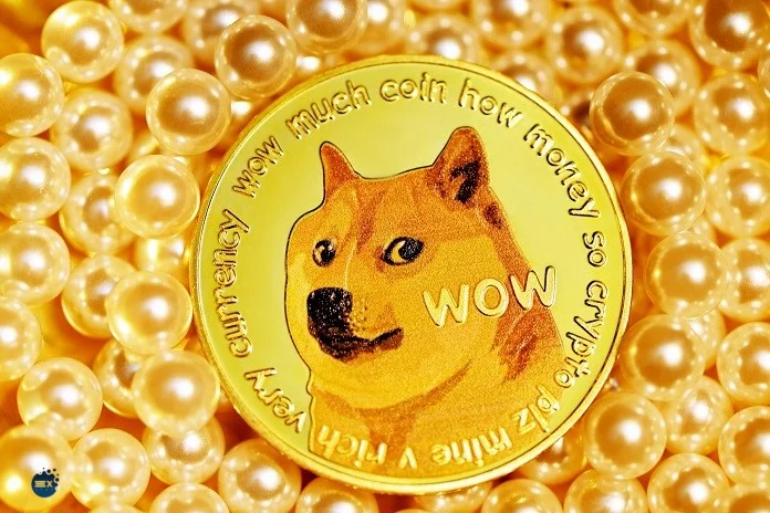 مزایای احتمالی ورود دوجکوین به X Money