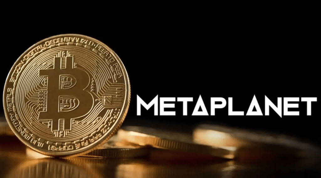 متاپلنت؛ از هتلداری تا تبدیل شدن به غول بیتکوین
