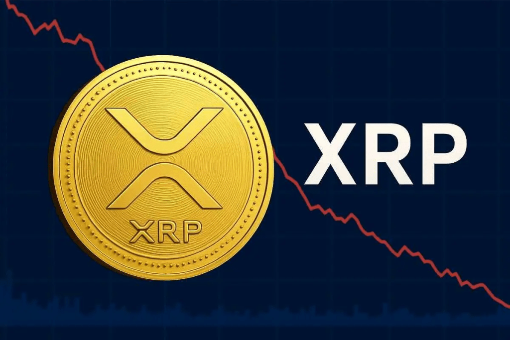 ۳. خزانه‌داری شرکتی و سرمایه‌گذاری مستقیم روی XRP