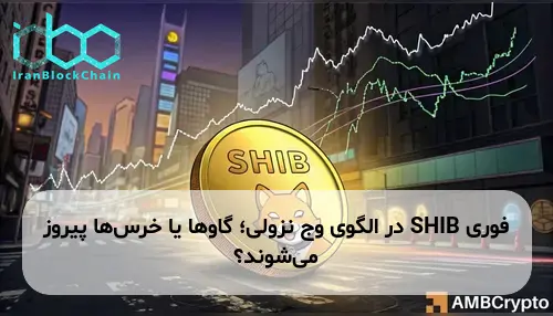 SHIB در الگوی وج نزولی؛ گاوها یا خرس‌ها پیروز می‌شوند؟