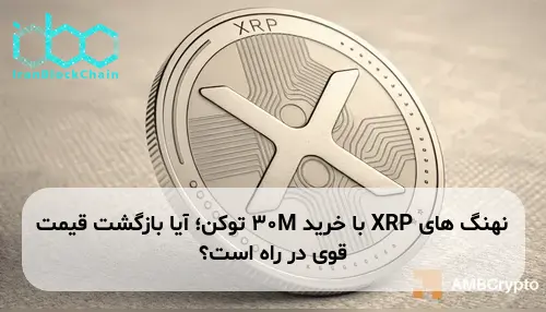 نهنگ های XRP با خرید 30M توکن؛ آیا بازگشت قیمت قوی در راه است؟