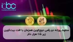 سقوط روزانه دو رقمی دوجکوین همزمان با افت بیتکوین زیر ۱۱۵ هزار دلار