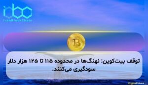 توقف بیتکوین: نهنگها در محدوده ۱۱۵ تا ۱۲۵ هزار دلار سودگیری میکنند.