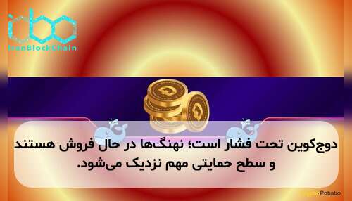 دوج‌کوین تحت فشار است؛ نهنگ‌ها در حال فروش هستند و سطح حمایتی مهم نزدیک می‌شود.