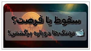 سقوط یا فرصت بیتکوین؟ نگاهی دقیق به ریزشها و ورود نهنگها