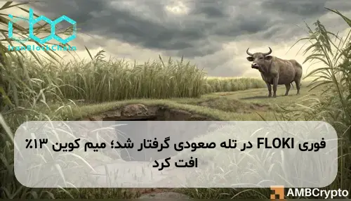 FLOKI در تله صعودی گرفتار شد؛ میم کوین 13٪ افت کرد
