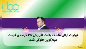 توئیت ایلان ماسک باعث افزایش ۲۵ درصدی قیمت میمکوین فلوکی شد.
