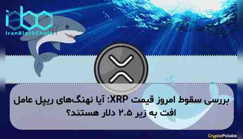 بررسی سقوط امروز قیمت XRP: آیا نهنگ‌های ریپل عامل افت به زیر ۲.۵ دلار هستند؟