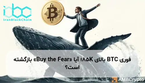 BTC بالای 85K؛ آیا «Buy the Fear» بازگشته است؟