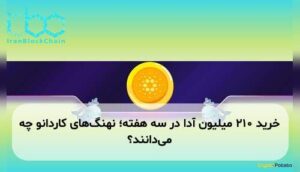 خرید ۲۱۰ میلیون آدا در سه هفته؛ نهنگ‌های کاردانو چه می‌دانند؟