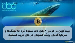 بیت‌کوین در دو روز ۸ هزار دلار سقوط کرد اما نهنگ‌ها و سرمایه‌گذاران بزرگ همچنان در حال خرید هستند.